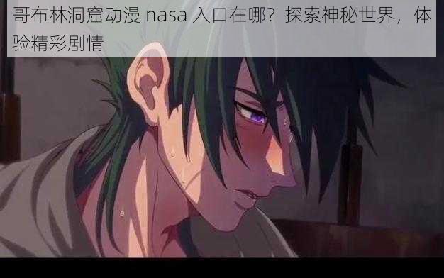 哥布林洞窟动漫 nasa 入口在哪？探索神秘世界，体验精彩剧情