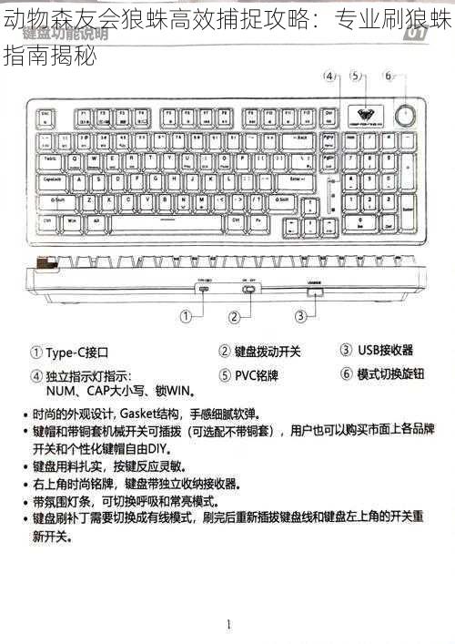 动物森友会狼蛛高效捕捉攻略：专业刷狼蛛指南揭秘