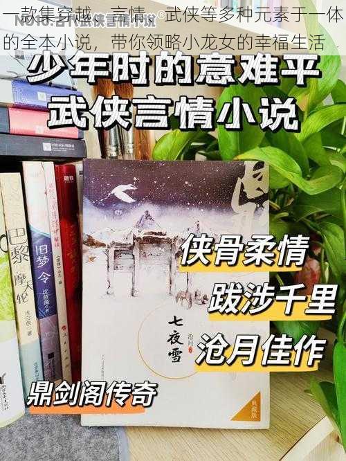 一款集穿越、言情、武侠等多种元素于一体的全本小说，带你领略小龙女的幸福生活