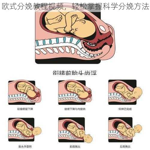 欧式分娩教程视频，轻松掌握科学分娩方法