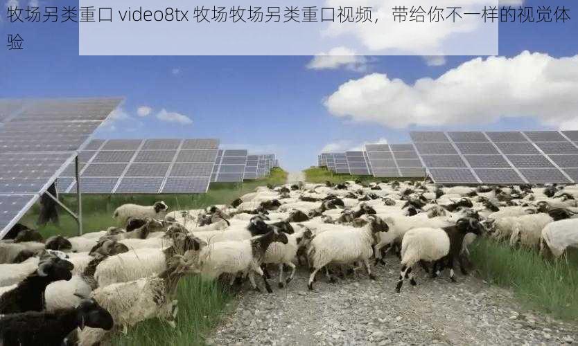 牧场另类重口 video8tx 牧场牧场另类重口视频，带给你不一样的视觉体验