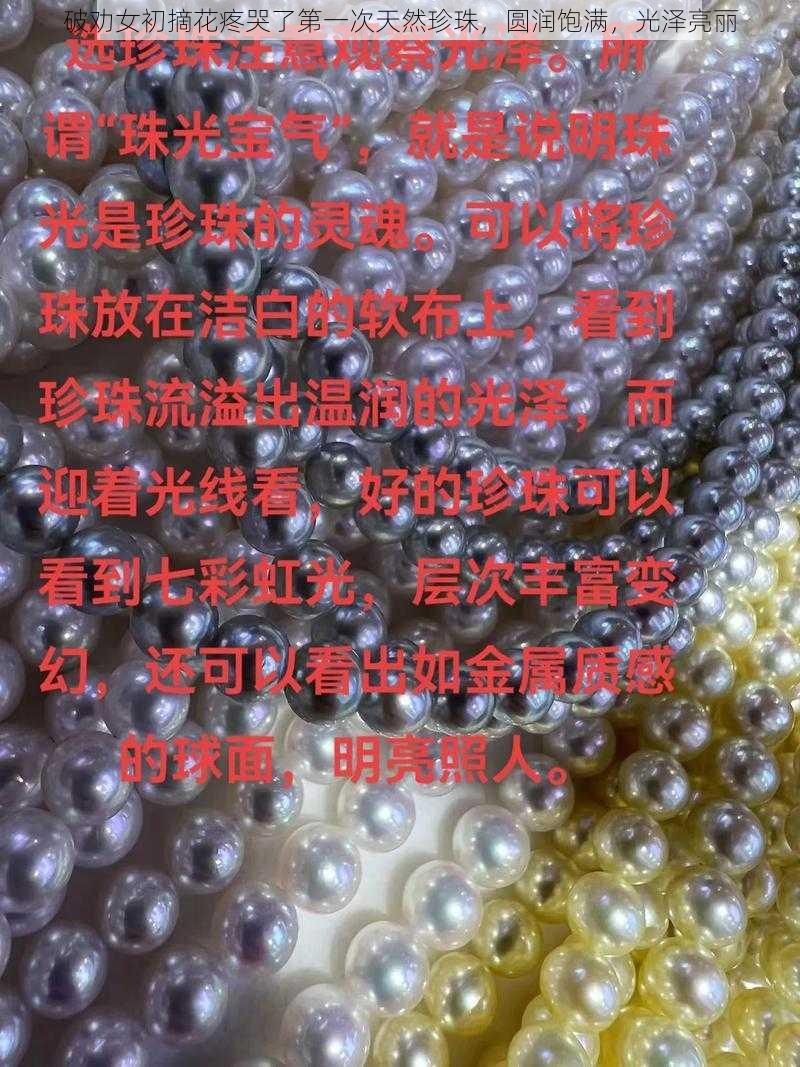 破劝女初摘花疼哭了第一次天然珍珠，圆润饱满，光泽亮丽