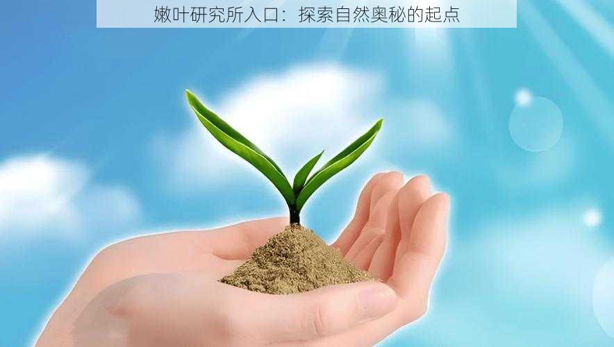 嫩叶研究所入口：探索自然奥秘的起点