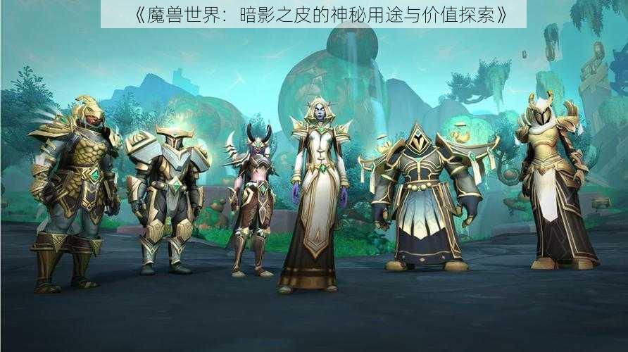 《魔兽世界：暗影之皮的神秘用途与价值探索》