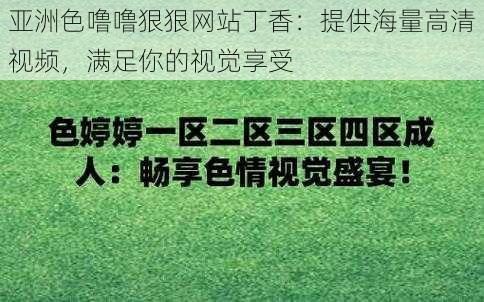 亚洲色噜噜狠狠网站丁香：提供海量高清视频，满足你的视觉享受