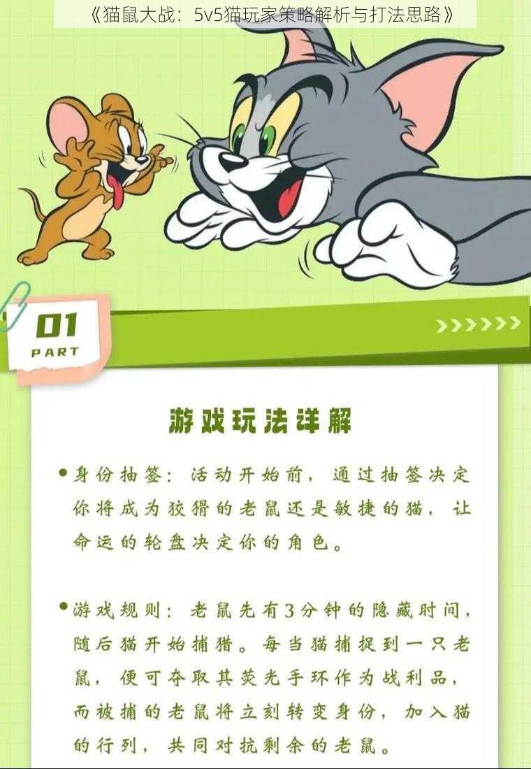 《猫鼠大战：5v5猫玩家策略解析与打法思路》