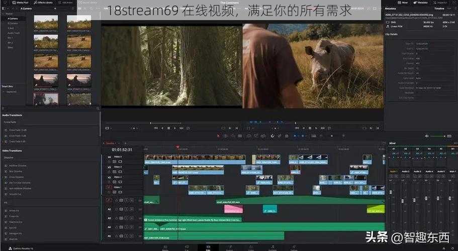 18stream69 在线视频，满足你的所有需求