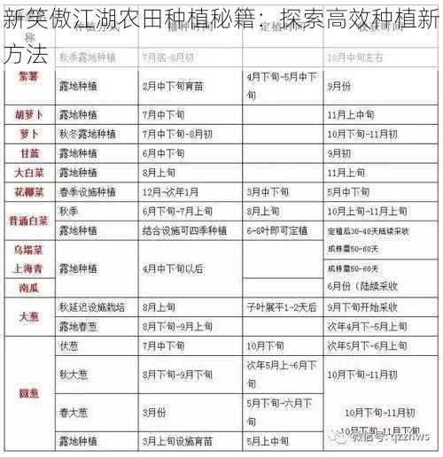 新笑傲江湖农田种植秘籍：探索高效种植新方法