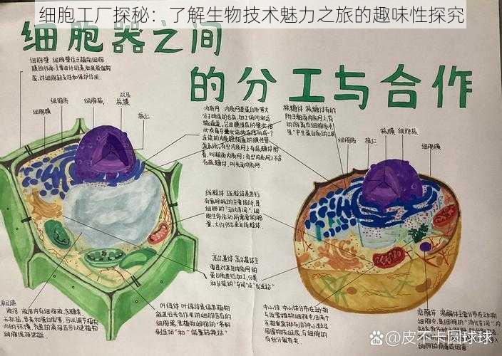 细胞工厂探秘：了解生物技术魅力之旅的趣味性探究