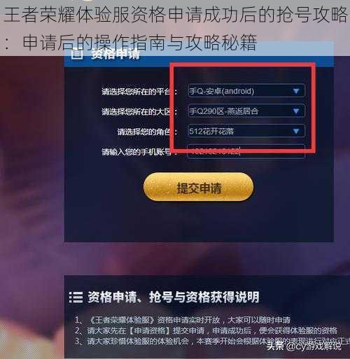 王者荣耀体验服资格申请成功后的抢号攻略：申请后的操作指南与攻略秘籍