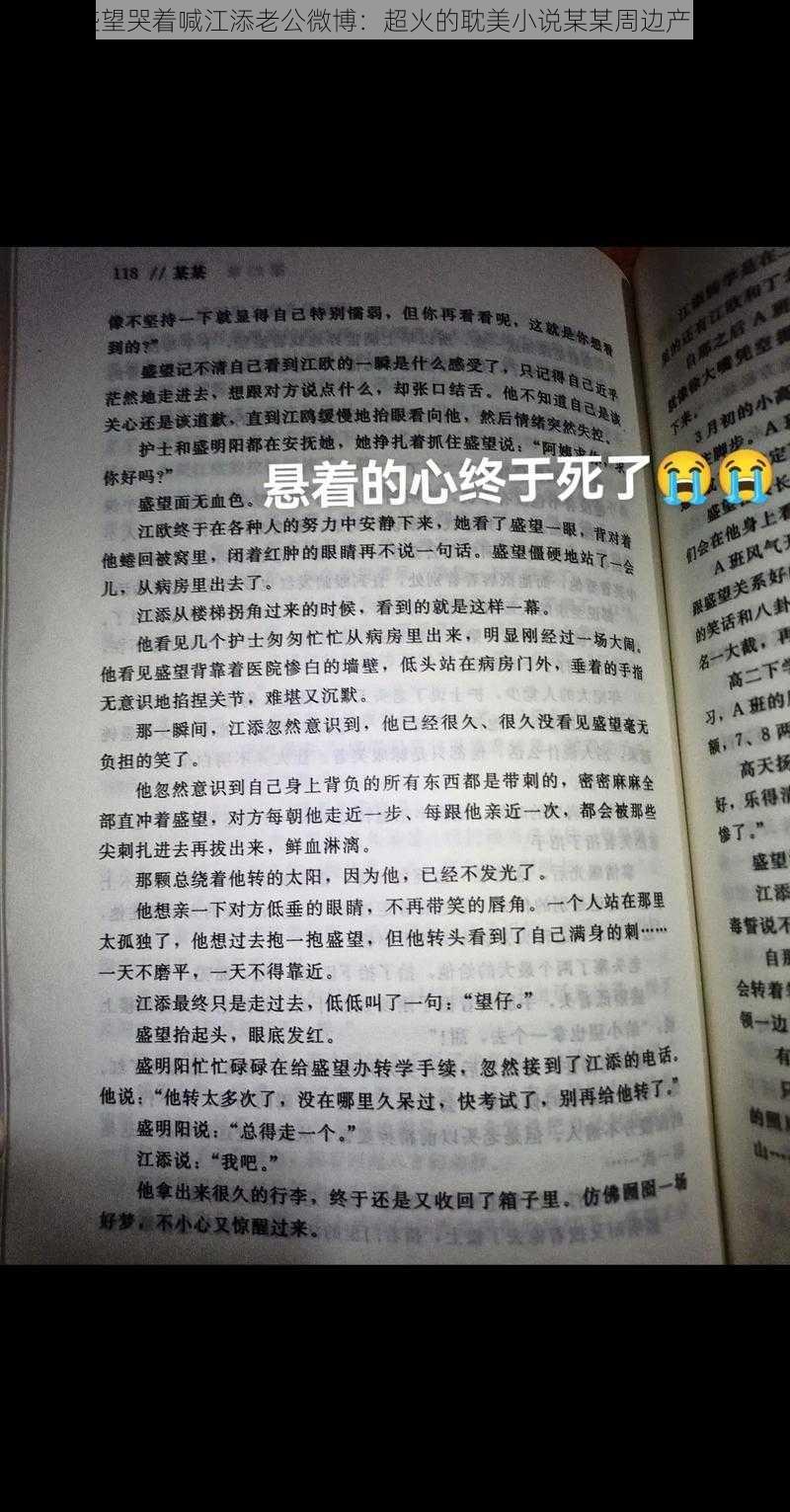 盛望哭着喊江添老公微博：超火的耽美小说某某周边产品