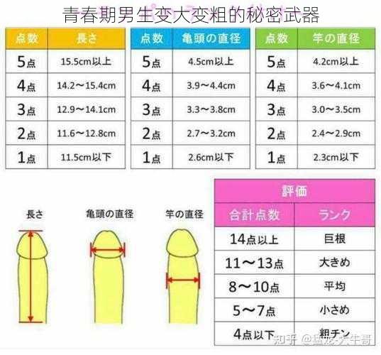 青春期男生变大变粗的秘密武器