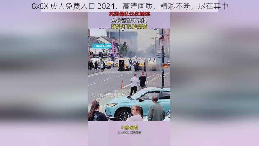 8x8X 成人免费入口 2024，高清画质，精彩不断，尽在其中