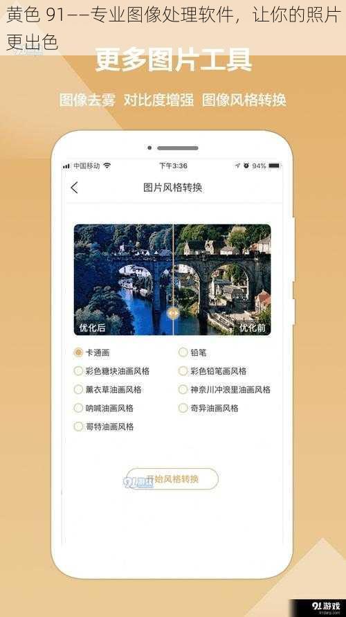 黄色 91——专业图像处理软件，让你的照片更出色