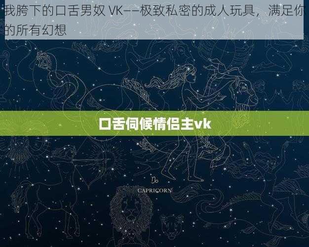 我胯下的口舌男奴 VK——极致私密的成人玩具，满足你的所有幻想