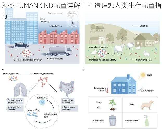 人类HUMANKIND配置详解：打造理想人类生存配置指南