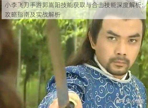 小李飞刀手游郭嵩阳技能获取与合击技能深度解析：攻略指南及实战解析