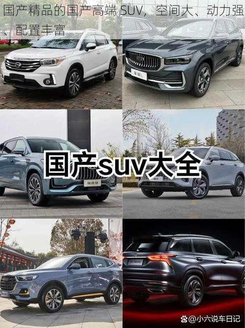 国产精品的国产高端 SUV，空间大、动力强、配置丰富