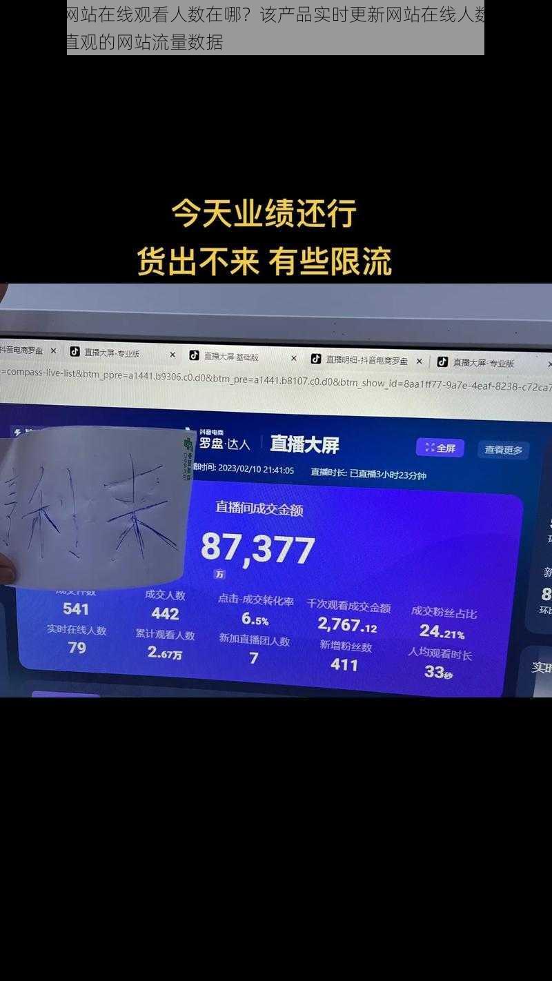 免费版网站在线观看人数在哪？该产品实时更新网站在线人数，为用户提供直观的网站流量数据