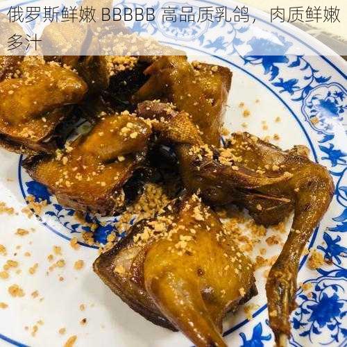 俄罗斯鲜嫩 BBBBB 高品质乳鸽，肉质鲜嫩多汁