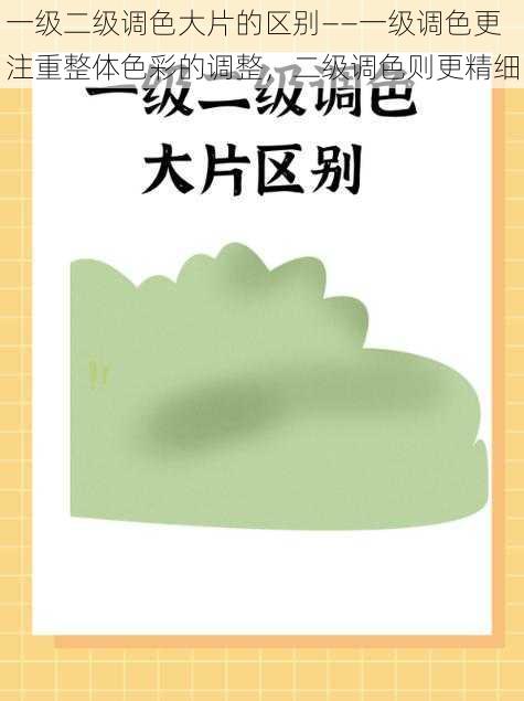 一级二级调色大片的区别——一级调色更注重整体色彩的调整，二级调色则更精细