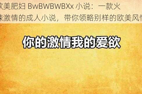 欧美肥妇 BwBWBWBXx 小说：一款火辣激情的成人小说，带你领略别样的欧美风情