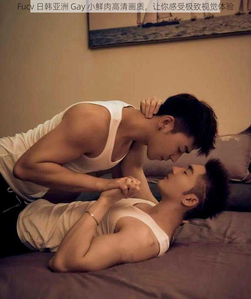 Fucv 日韩亚洲 Gay 小鲜肉高清画质，让你感受极致视觉体验