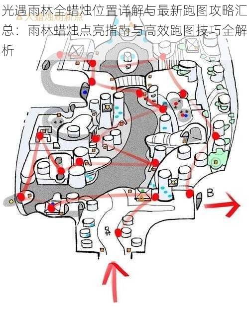 光遇雨林全蜡烛位置详解与最新跑图攻略汇总：雨林蜡烛点亮指南与高效跑图技巧全解析