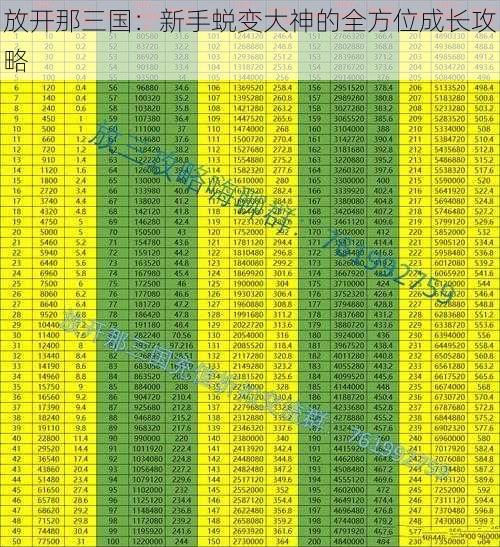 放开那三国：新手蜕变大神的全方位成长攻略