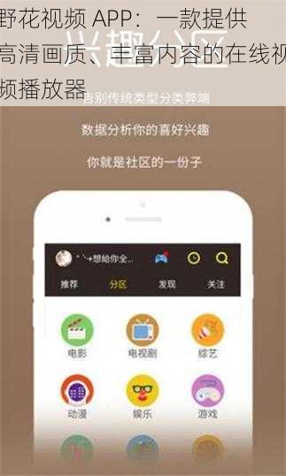 野花视频 APP：一款提供高清画质、丰富内容的在线视频播放器