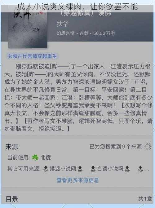 成人小说爽文裸肉，让你欲罢不能