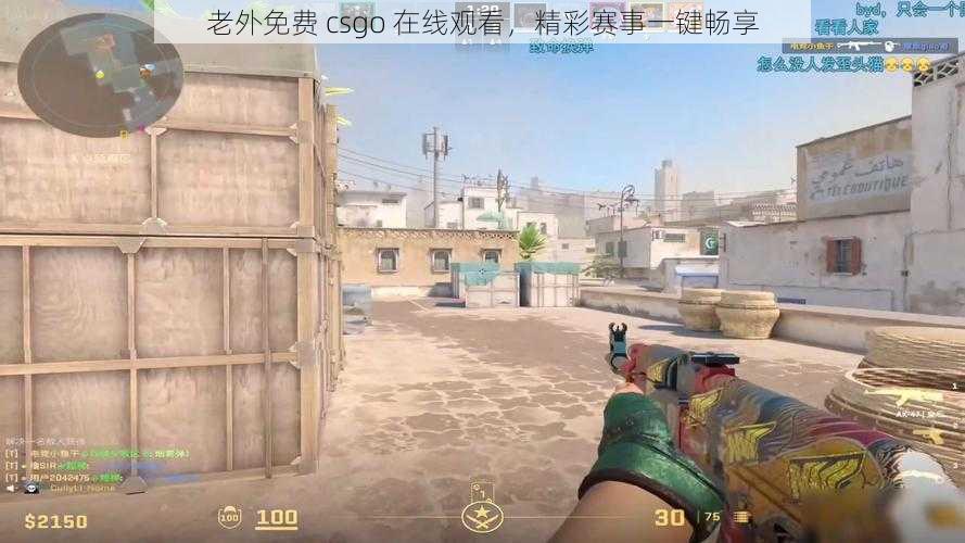 老外免费 csgo 在线观看，精彩赛事一键畅享