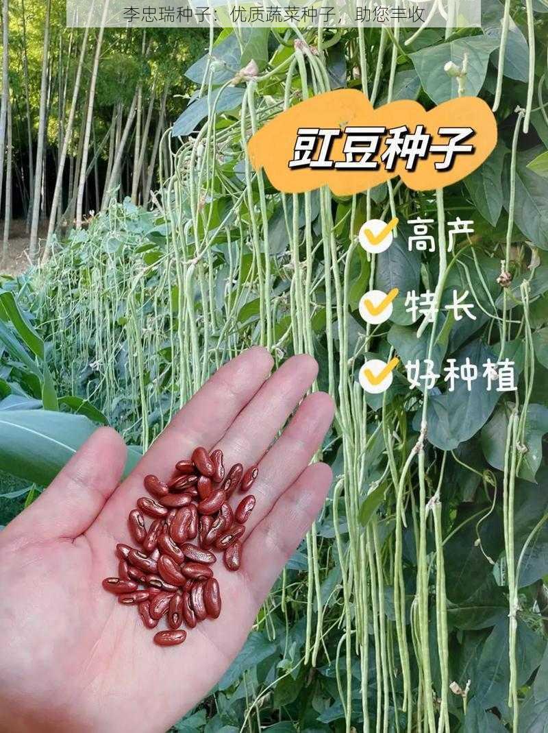 李忠瑞种子：优质蔬菜种子，助您丰收