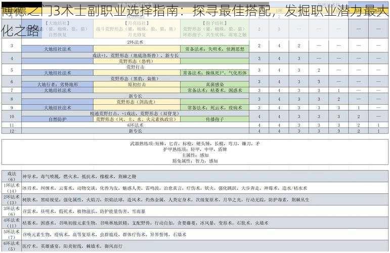 博德之门3术士副职业选择指南：探寻最佳搭配，发掘职业潜力最大化之路