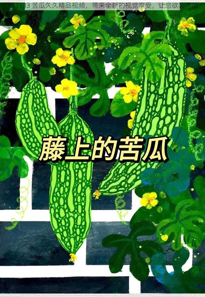 133133 苦瓜久久精品视频，带来全新的视觉享受，让您欲罢不能