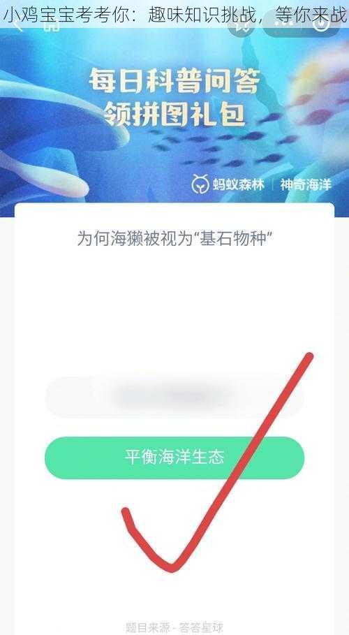 小鸡宝宝考考你：趣味知识挑战，等你来战