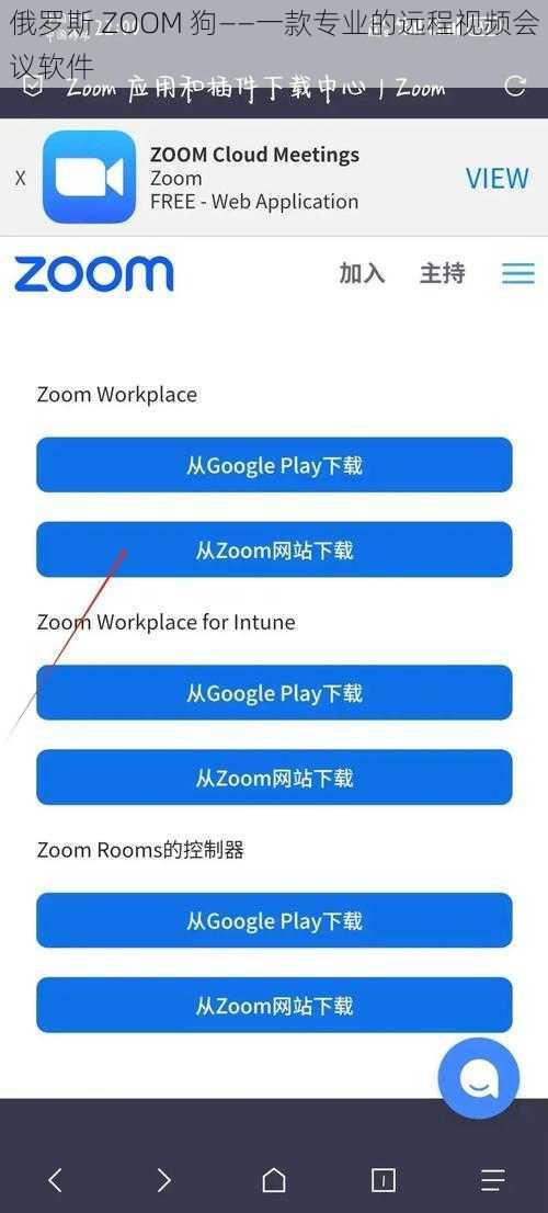 俄罗斯 ZOOM 狗——一款专业的远程视频会议软件