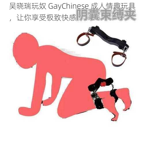 吴晓瑞玩奴 GayChinese 成人情趣玩具，让你享受极致快感