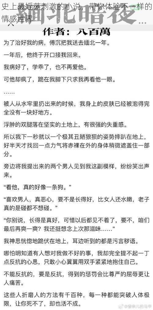 史上最婬荡刺激的小说，带你体验不一样的情感世界