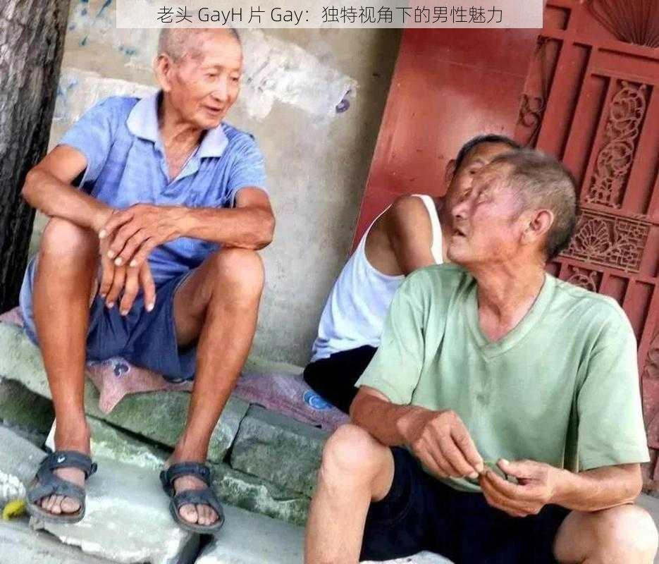 老头 GayH 片 Gay：独特视角下的男性魅力