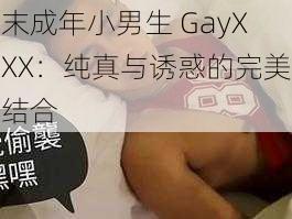 末成年小男生 GayXXX：纯真与诱惑的完美结合