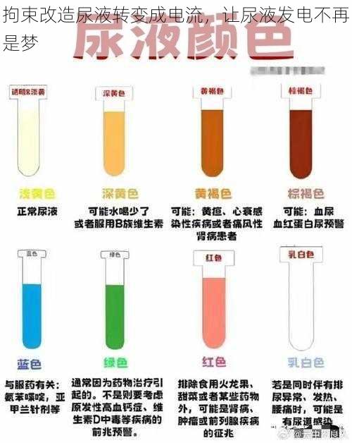 拘束改造尿液转变成电流，让尿液发电不再是梦