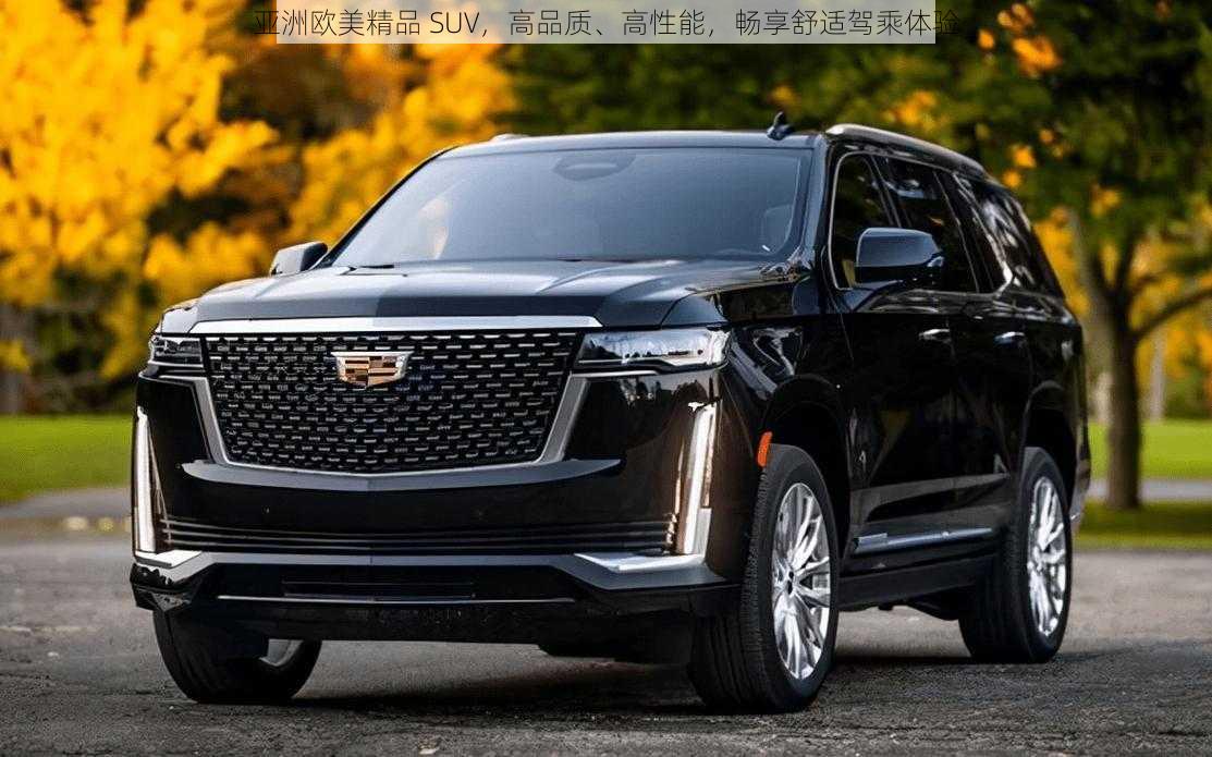 亚洲欧美精品 SUV，高品质、高性能，畅享舒适驾乘体验