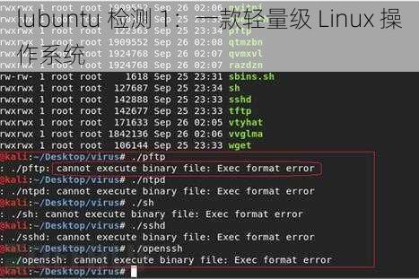 lubuntu 检测 1：一款轻量级 Linux 操作系统