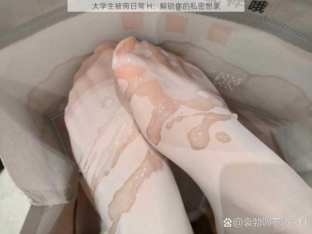 大学生被脔日常 H：解锁你的私密想象