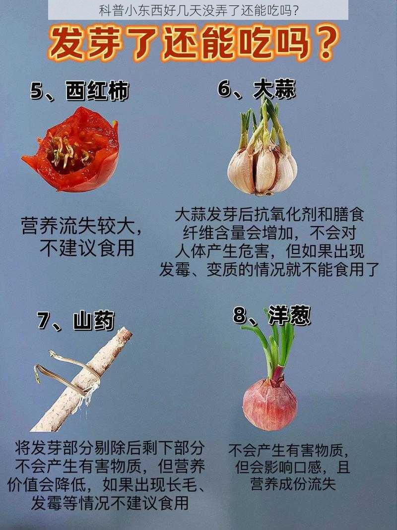 科普小东西好几天没弄了还能吃吗？