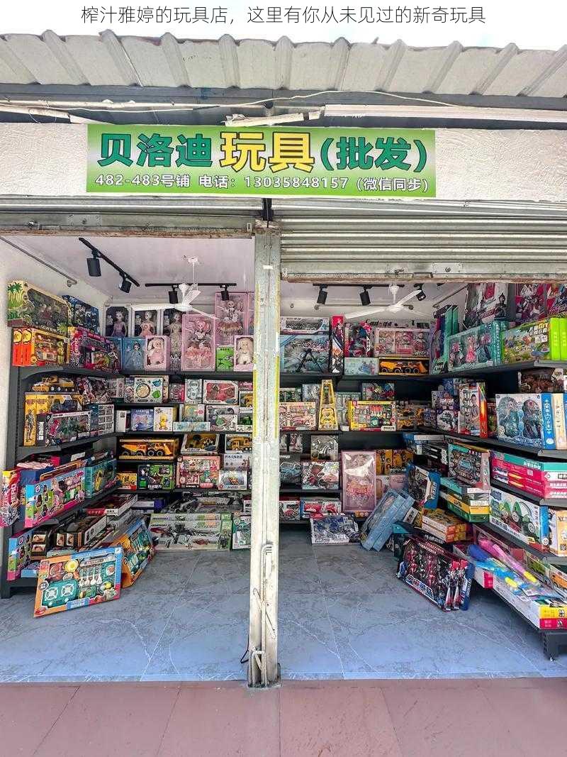 榨汁雅婷的玩具店，这里有你从未见过的新奇玩具