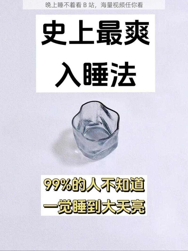 晚上睡不着看 B 站，海量视频任你看