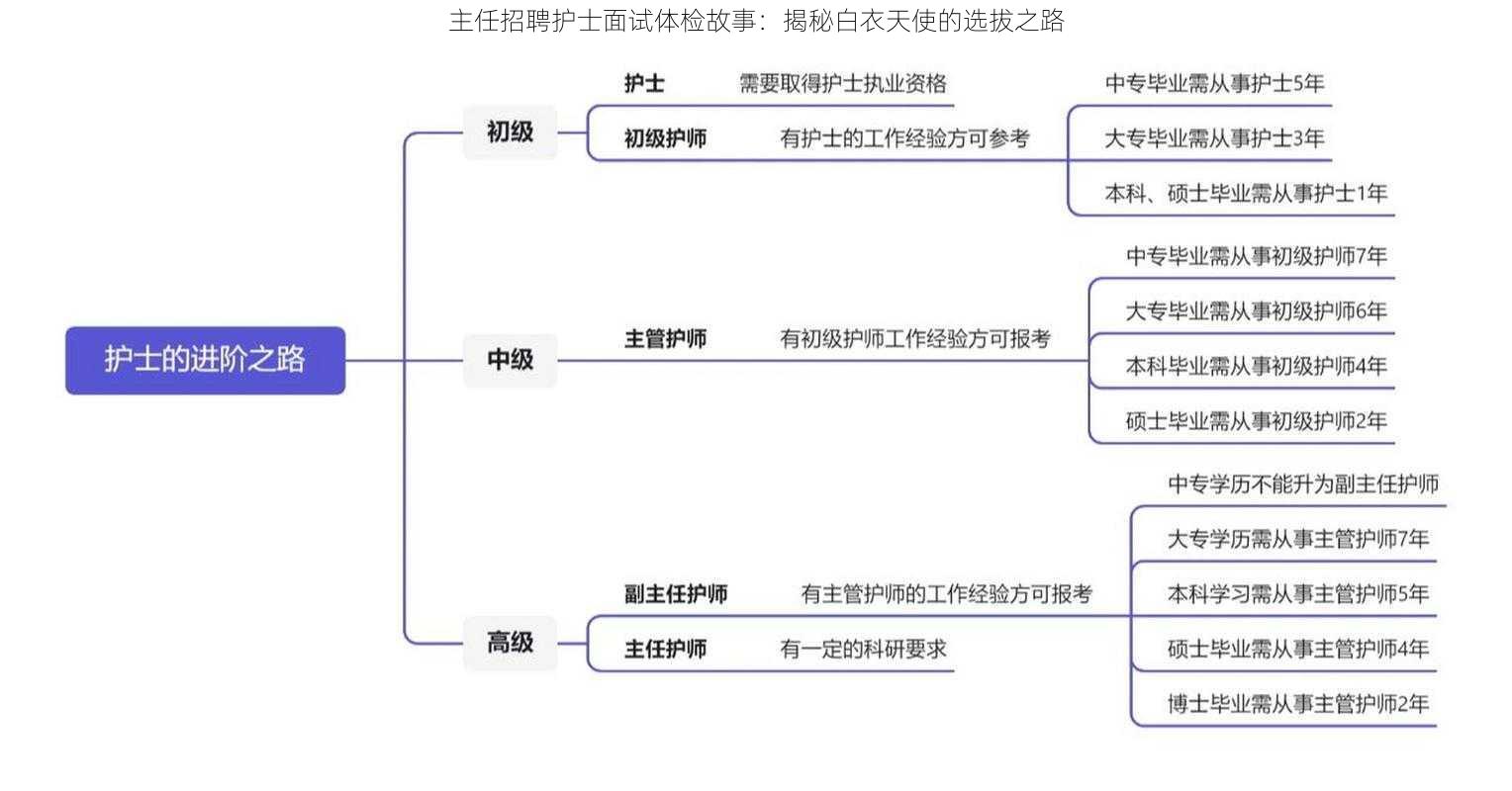 主任招聘护士面试体检故事：揭秘白衣天使的选拔之路