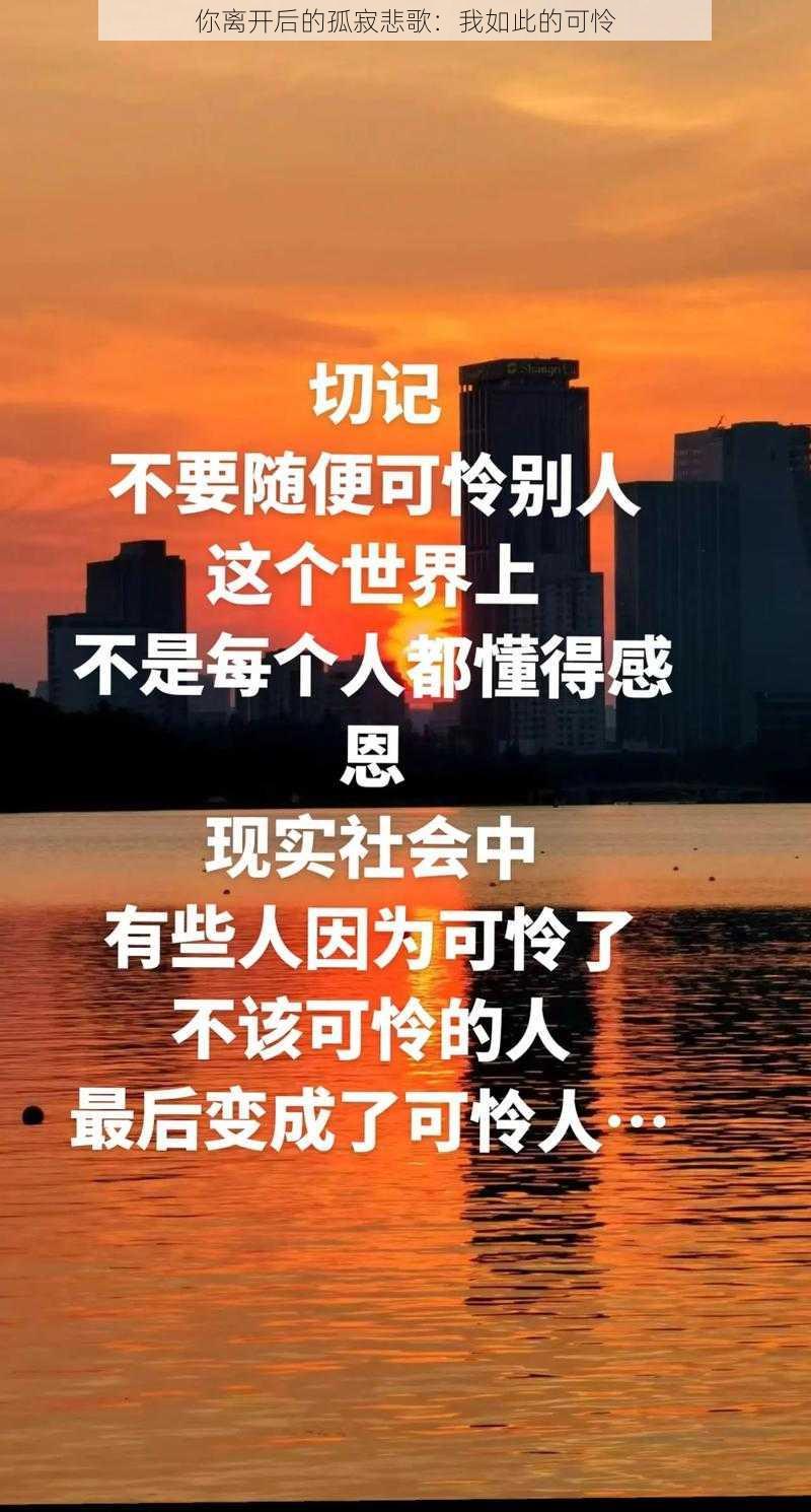 你离开后的孤寂悲歌：我如此的可怜